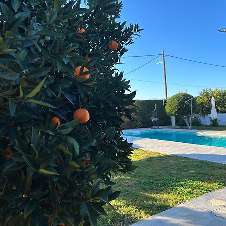 The Orange Garden Lejlighed Nafplio Eksteriør billede