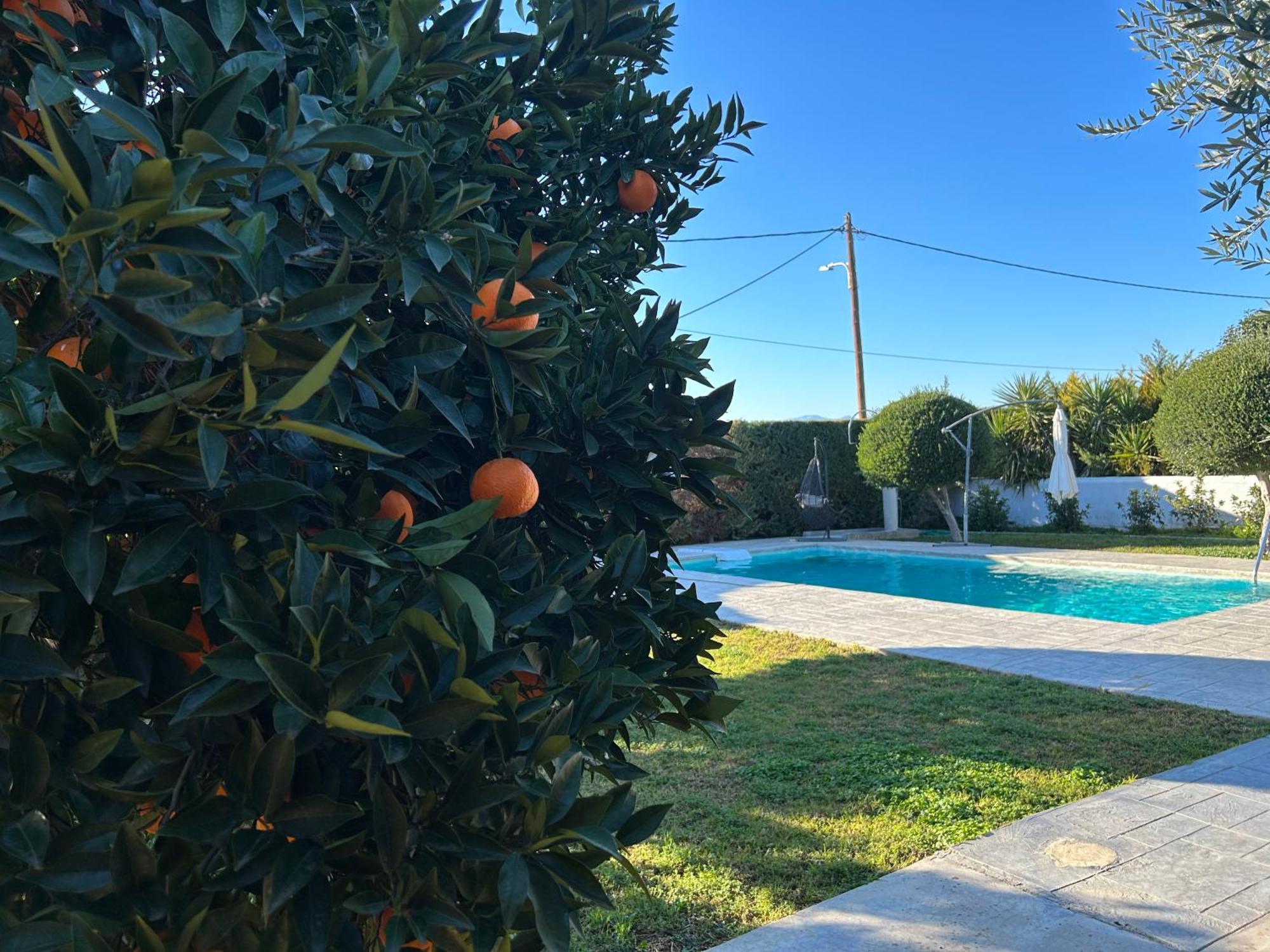 The Orange Garden Lejlighed Nafplio Eksteriør billede
